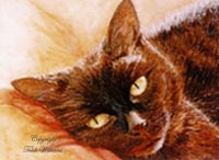 pet portraits, cat portraits, dog portraits, horse portraits, rabbit portraits
